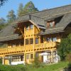 Кроющий антисептик для дерева ADLER Pullex Renovier-Grund