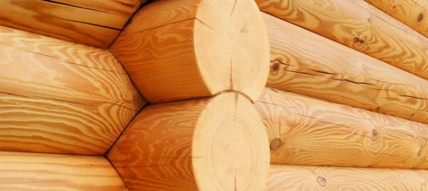 Защищаем торцы древесины с Hirnholzversiegelung